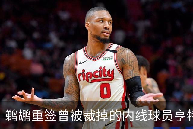 鹈鹕重签曾被裁掉的内线球员亨特-迪金森